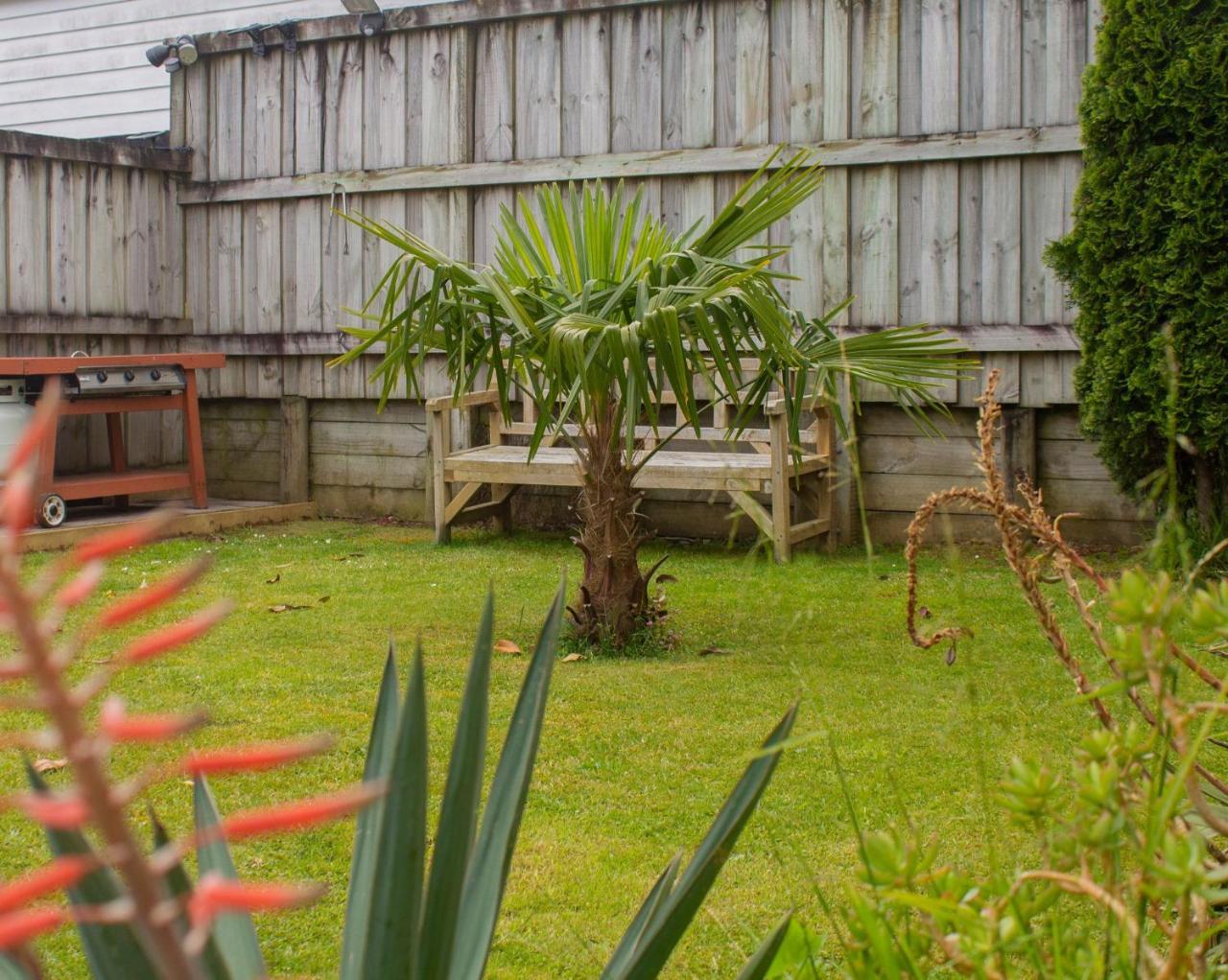 Palm Motel Уэйай Экстерьер фото